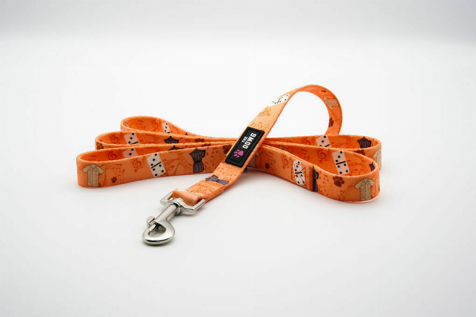 The Dowg Dog Leash