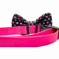 Cutie Ties Dog Bow Tie