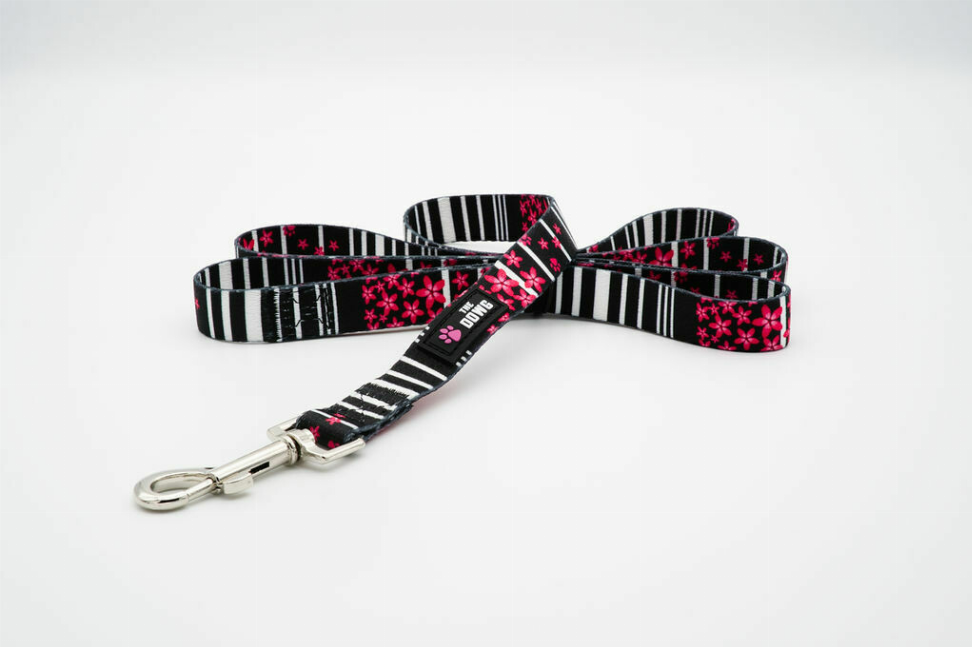 The Dowg Dog Leash